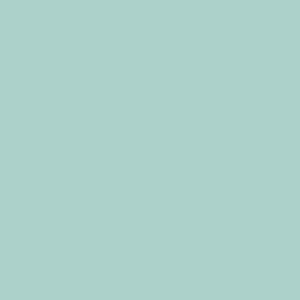 Cassiopeia 302-3 PPG Paint Chip 